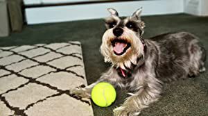 Official profile picture of Baby Girl Escovedo