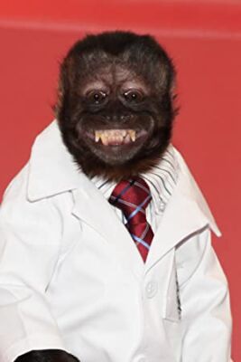 Official profile picture of Crystal the Monkey