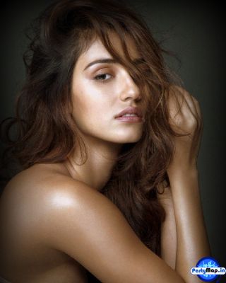 Official profile picture of Disha Patani Movies