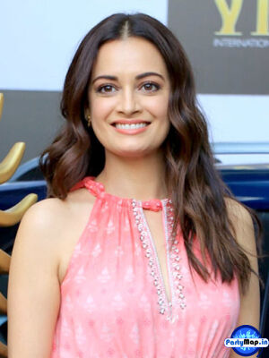 Photo of Dia Mirza at a concert