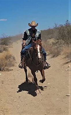 Official profile picture of Gary Sax