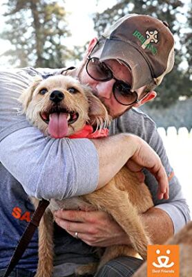 Official profile picture of Jason Gray-Stanford