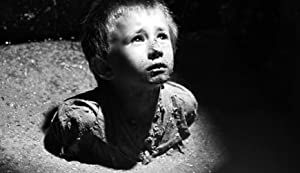 Official profile picture of Kamil Krawiec