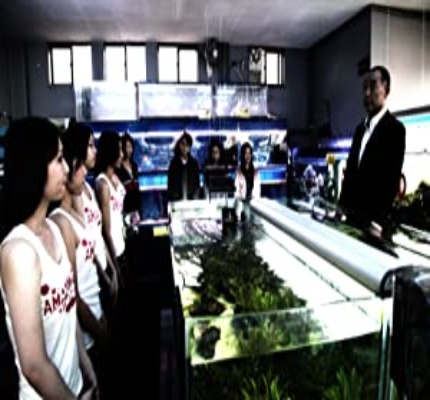 Official profile picture of Mitsuru Fukikoshi Movies