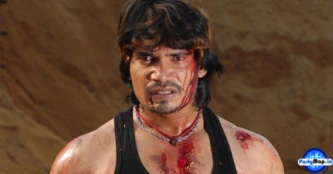 Photo of Parvesh Lal Yadav at a concert