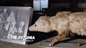 Official profile picture of Petunia