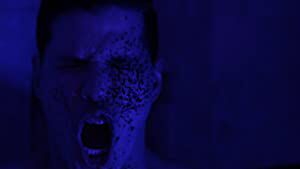 Official profile picture of Vince Rodriguez