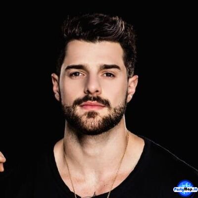 Photo of Alok at a concert