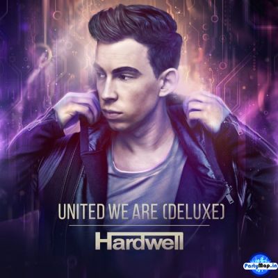 Photo of Hardwell at a show