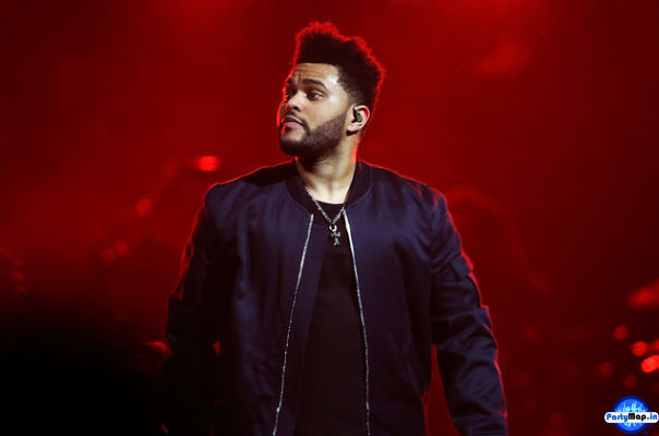 Photo of The Weeknd at a show