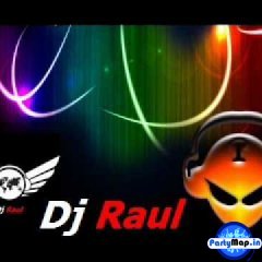 Official profile picture of DJ RAUL