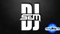 Official profile picture of DJ SEM