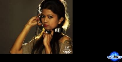 Photo of DJ Sheryl at a concert