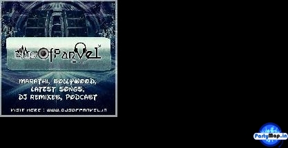 Photo of DJ Shri at a show