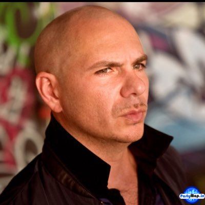 Official profile picture of Pitbull