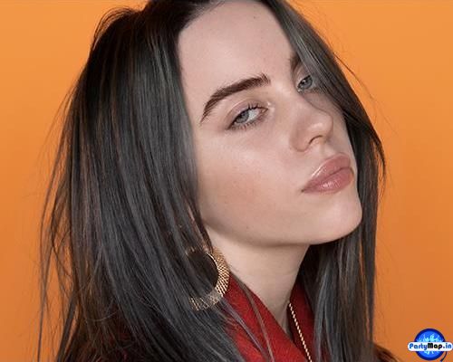 Photo of Billie Eilish at a show