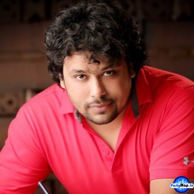 Photo of Danish Sabri at a show