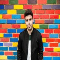 songs by Digital Farm Animals (Nicholas Gale)