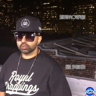 Photo of Haji Springer at a concert