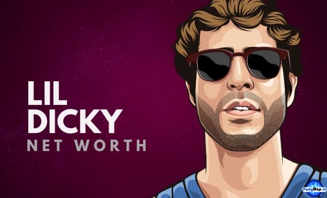 Photo of Lil Dicky at a concert