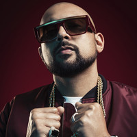 Official profile picture of Sean Paul