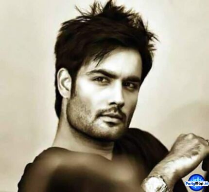 Photo of Vivian Dsena at a show